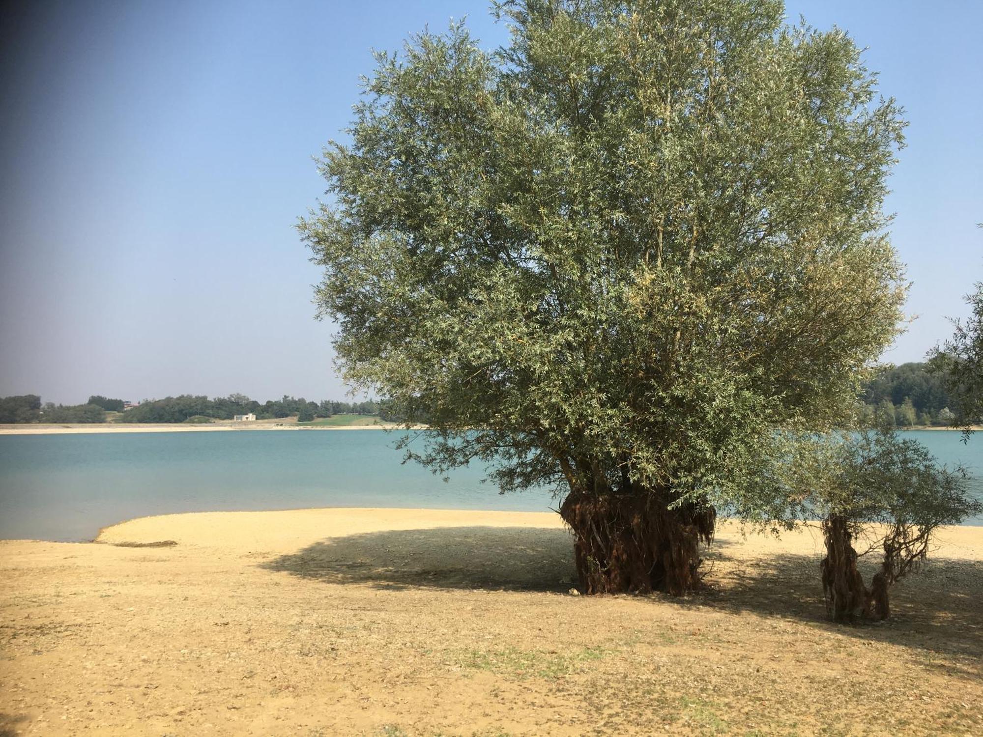 Chez Christian Bed and Breakfast LʼIsle-en-Dodon Εξωτερικό φωτογραφία